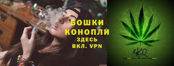 бошки Касимов