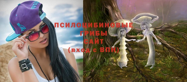 бошки Касимов