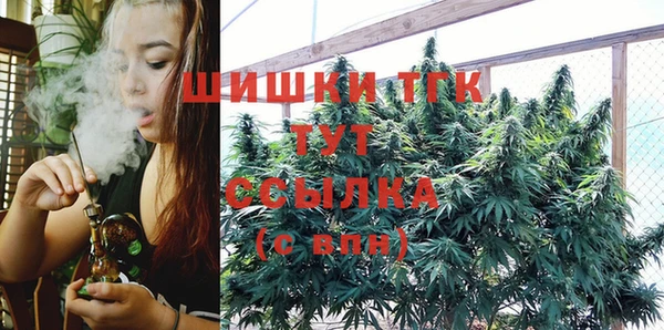 бошки Касимов