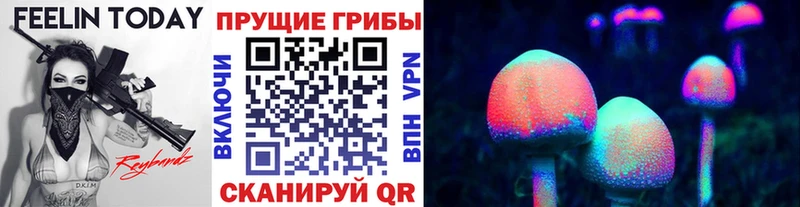 Галлюциногенные грибы ЛСД  Купить где  Новочебоксарск 